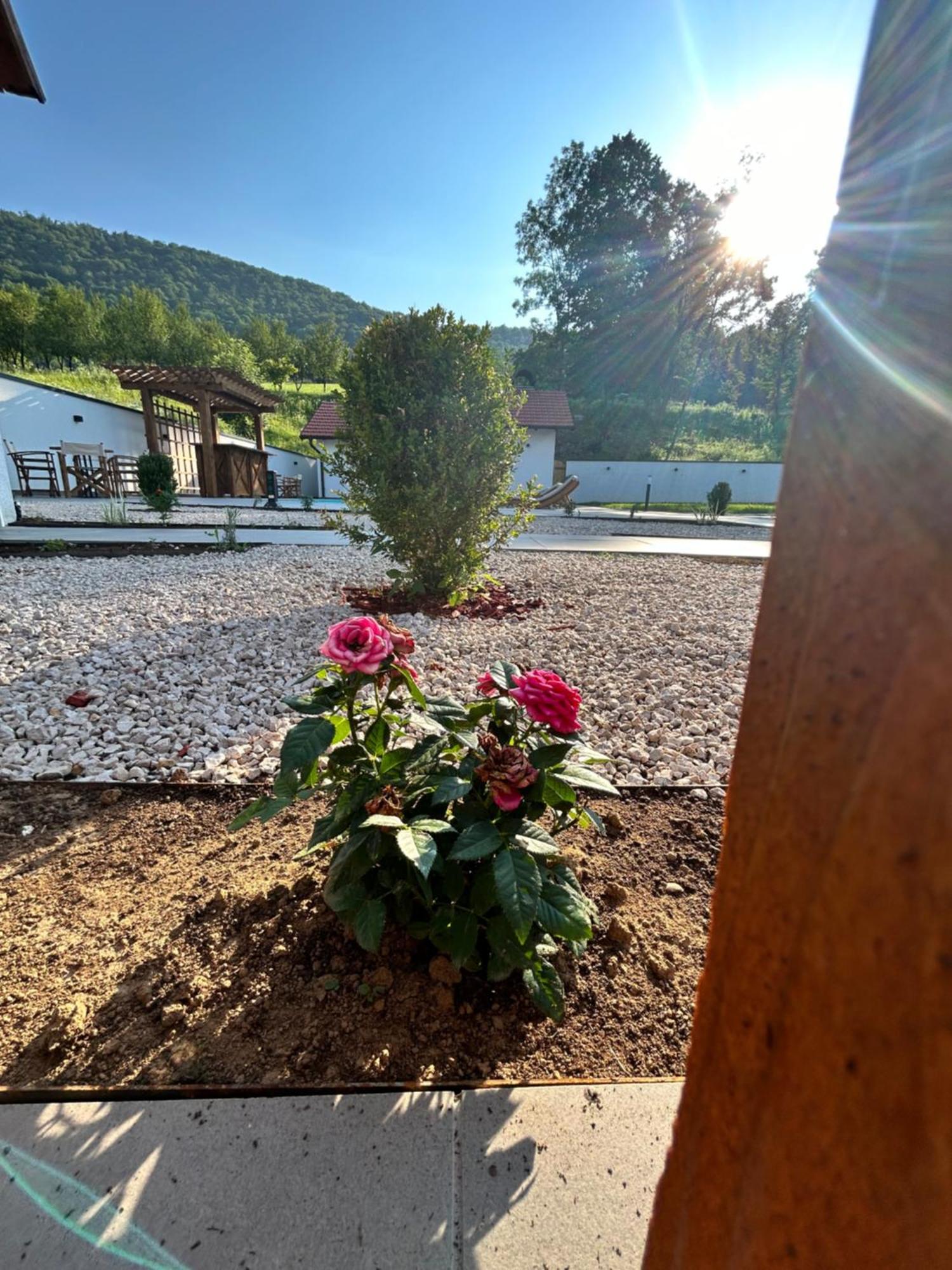 Romantic Lodge Banja Luka Extérieur photo